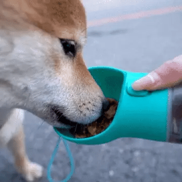 4 EN 1 BOTELLA MULTIFUNCIONAL PARA MASCOTAS 📦🐾